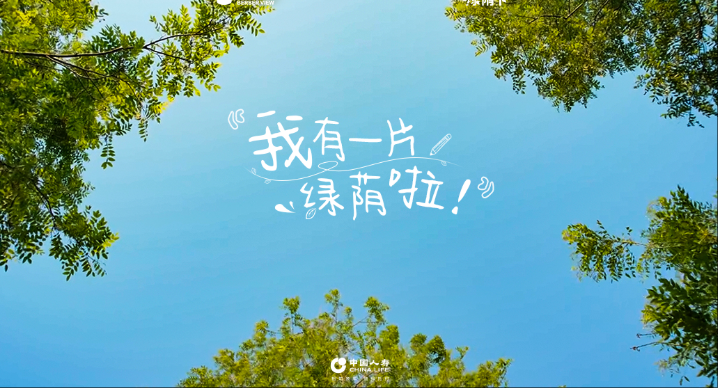中国人寿