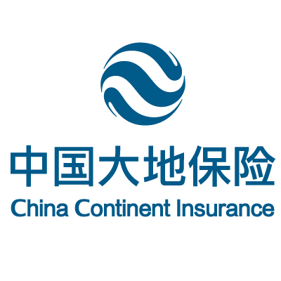 中国大地保险