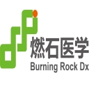 燃石医学
